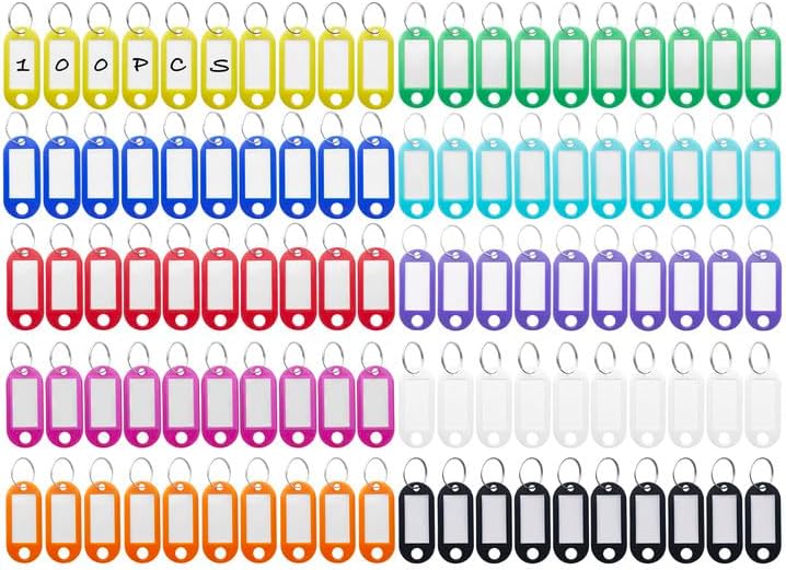 Étiquettes porte-clés: en plastique, 100 Pièces
